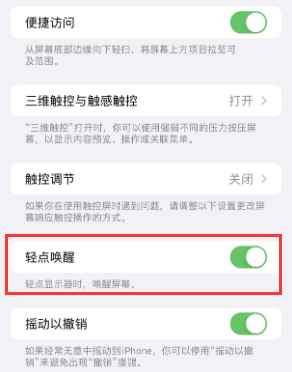 望城苹果授权维修站分享iPhone轻点无法唤醒怎么办 