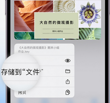 望城apple维修中心分享iPhone文件应用中存储和找到下载文件