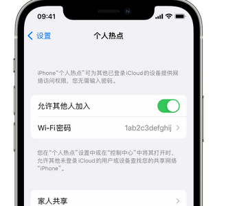 望城apple服务站点分享iPhone上个人热点丢失了怎么办 