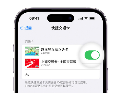 望城apple维修点分享iPhone上更换Apple Pay快捷交通卡手绘卡面 