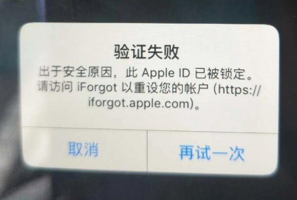 望城iPhone维修分享iPhone上正常登录或使用AppleID怎么办 