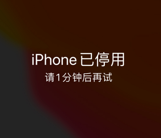 望城苹果手机维修分享:iPhone 显示“不可用”或“已停用”怎么办？还能保留数据吗？ 