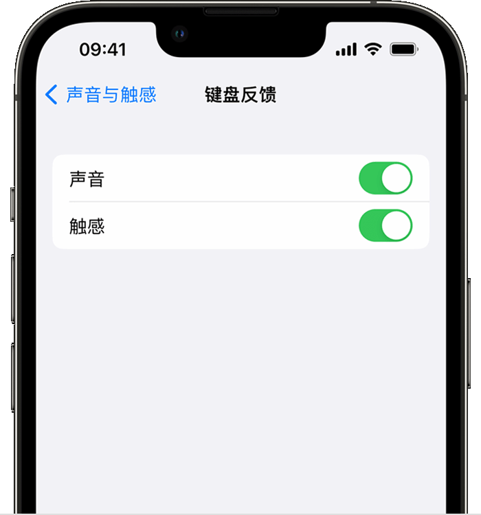 望城苹果14维修店分享如何在 iPhone 14 机型中使用触感键盘 