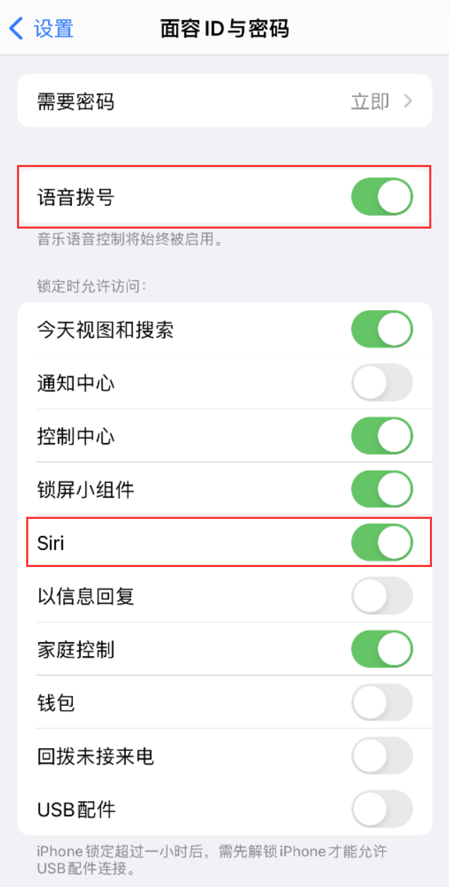 望城苹果维修网点分享不解锁 iPhone 的情况下通过 Siri 拨打电话的方法 