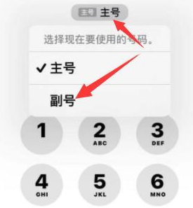 望城苹果14维修店分享iPhone 14 Pro Max使用副卡打电话的方法 