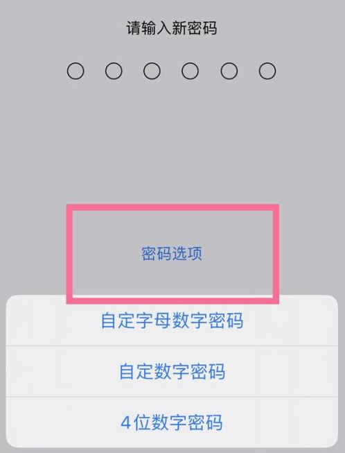 望城苹果14维修分享iPhone 14plus设置密码的方法 