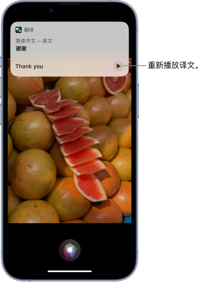 望城苹果14维修分享 iPhone 14 机型中使用 Siri：了解 Siri 能帮你做什么 