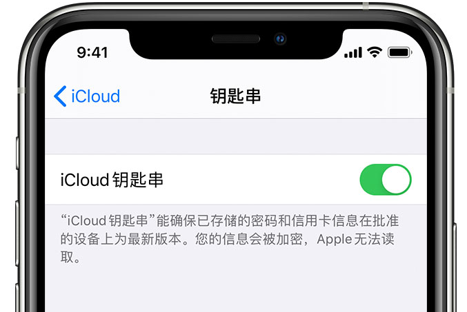 望城苹果手机维修分享在 iPhone 上开启 iCloud 钥匙串之后会储存哪些信息 