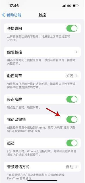 望城苹果手机维修分享iPhone手机如何设置摇一摇删除文字 