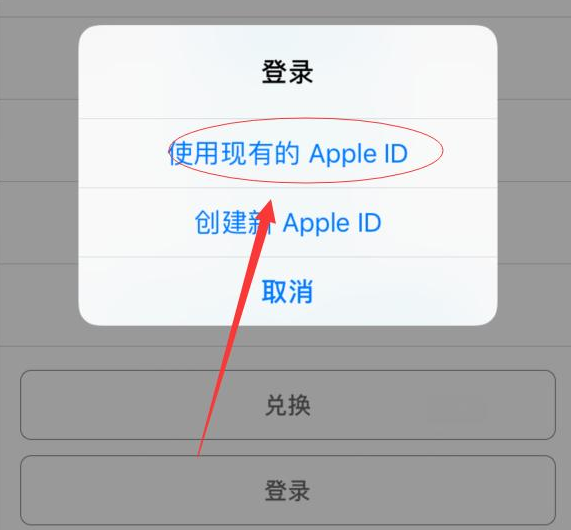 望城苹果手机维修分享两台iPhone设备可以同时登录一个Apple ID吗 