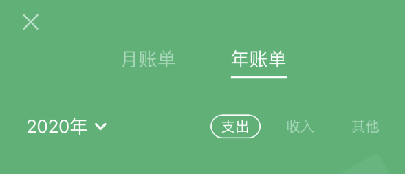 望城苹果手机维修分享如何在 iPhone 上查看支付宝和微信年支出账单 