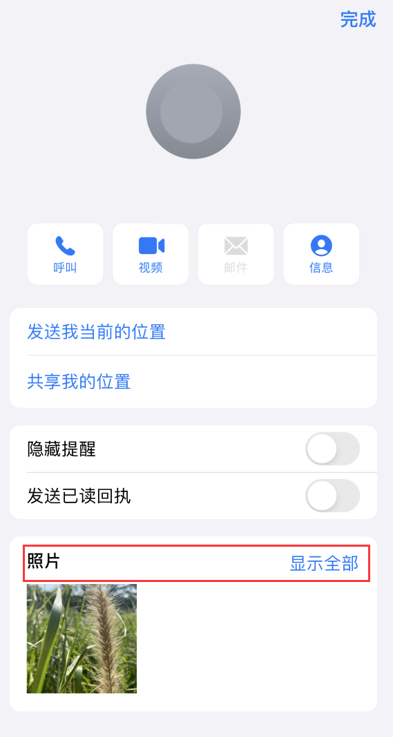 望城苹果手机维修分享如何快速查找 iMessage 信息中的图片等附件 